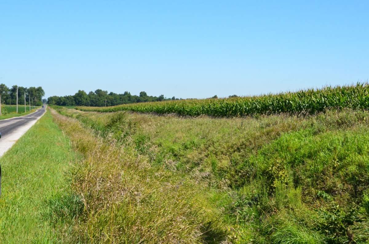 Property photo 3 - 66.9+/- Acres Offered in 2 Tracts - Mostly Tillable Farmland
